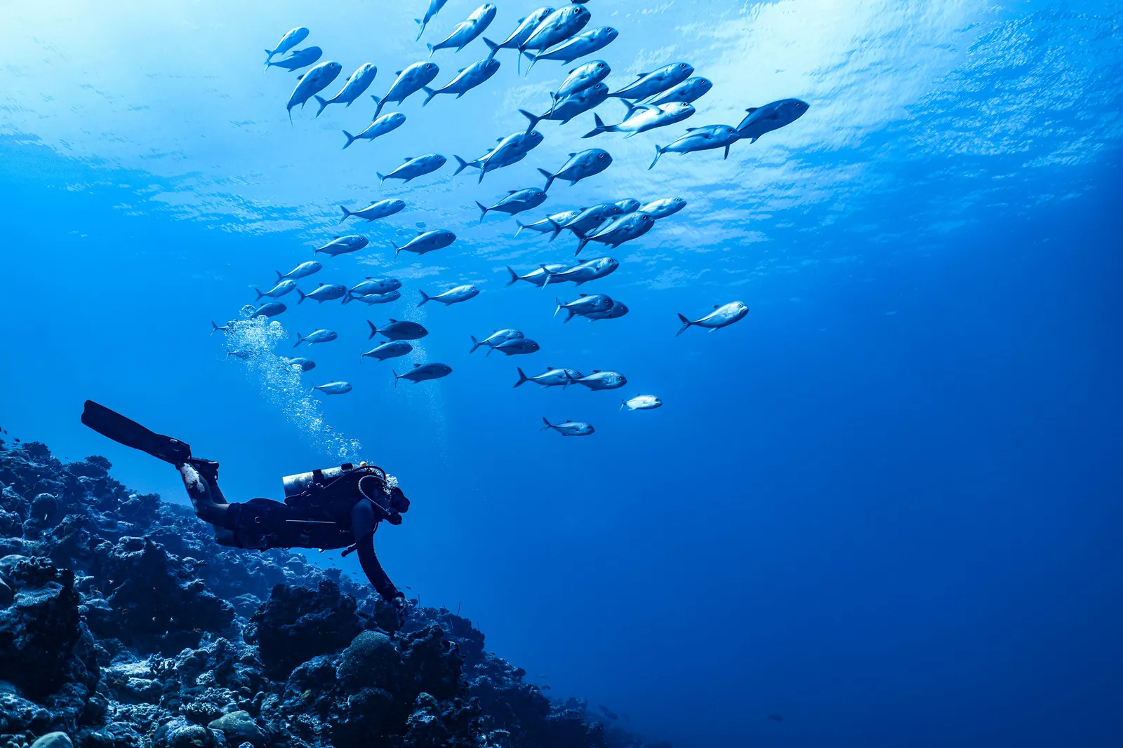 Private Guest Photoshoot