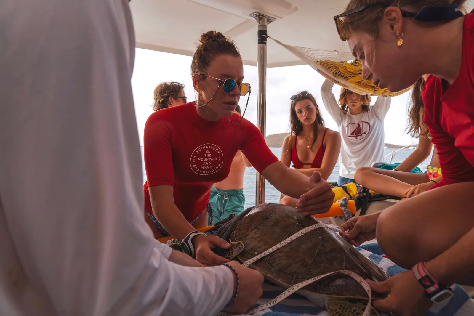 Workshop and engagement space, Caribbean